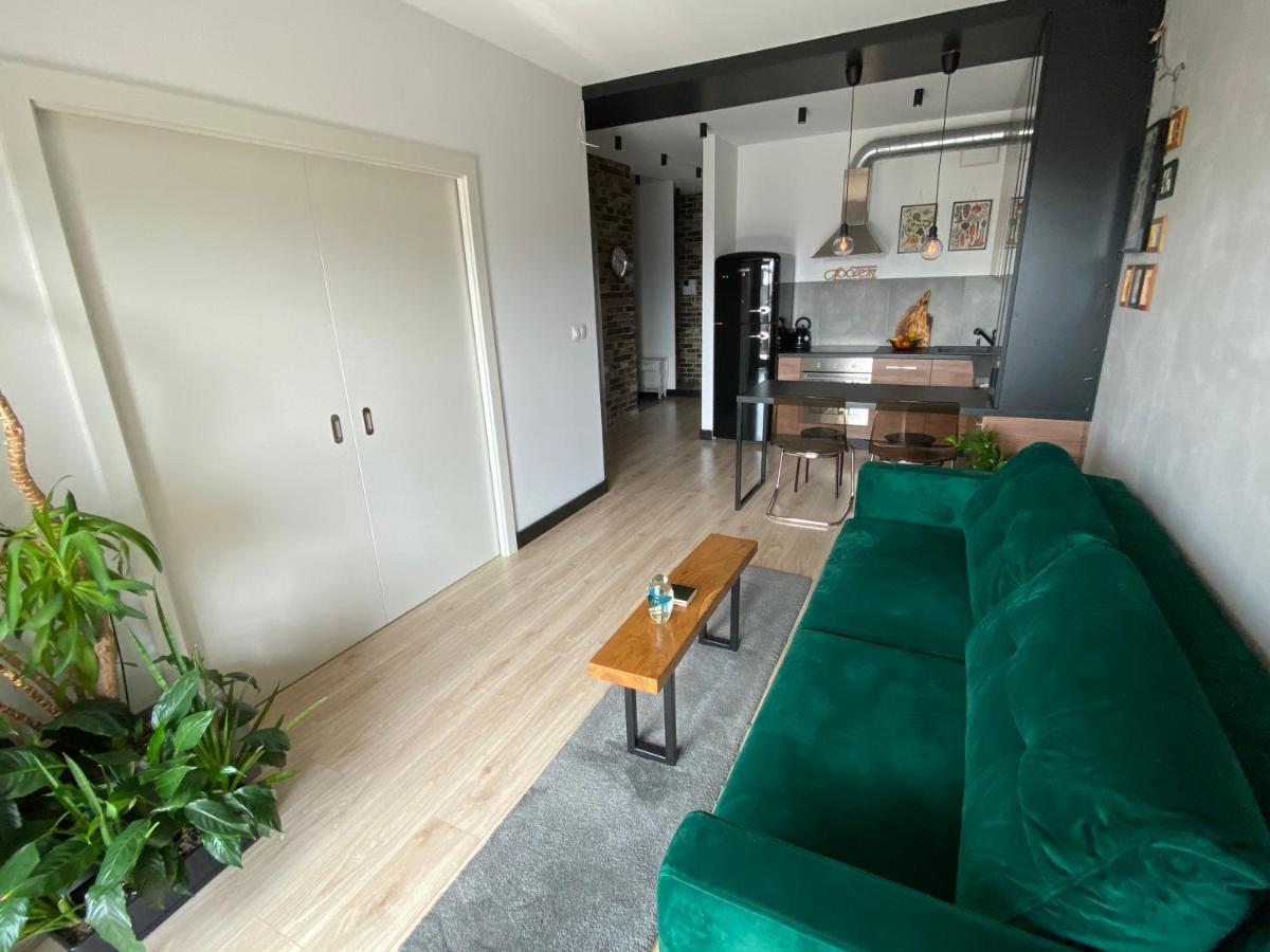 克拉科夫Apartament Delux Przy Wisle公寓 外观 照片
