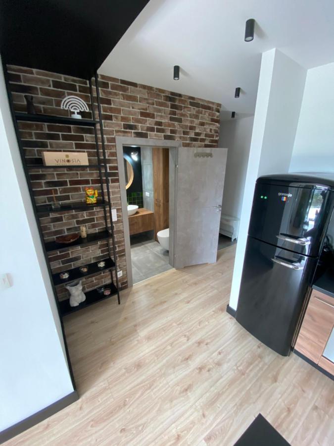 克拉科夫Apartament Delux Przy Wisle公寓 外观 照片