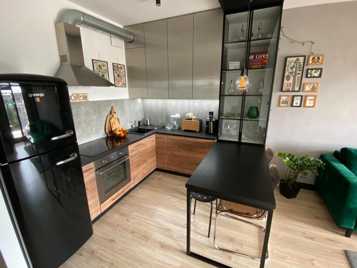 克拉科夫Apartament Delux Przy Wisle公寓 外观 照片