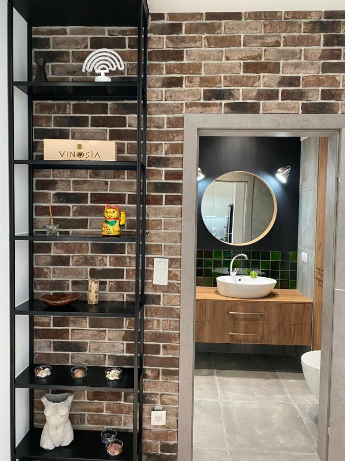 克拉科夫Apartament Delux Przy Wisle公寓 外观 照片
